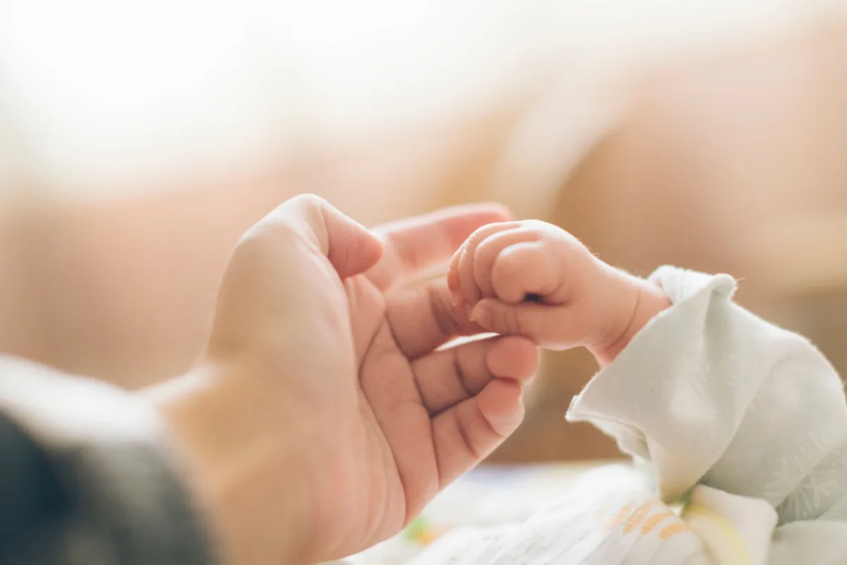 a cover photo for a WordPress article titled The Benefits of Prenatal Vitamins Supporting a H (5)