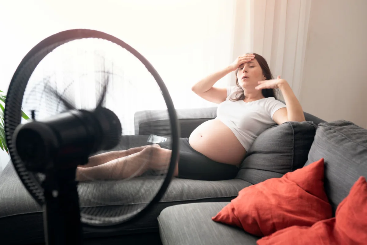 a professional cover image for a WordPress article titled Navigating the Texas Heat Essential (4)