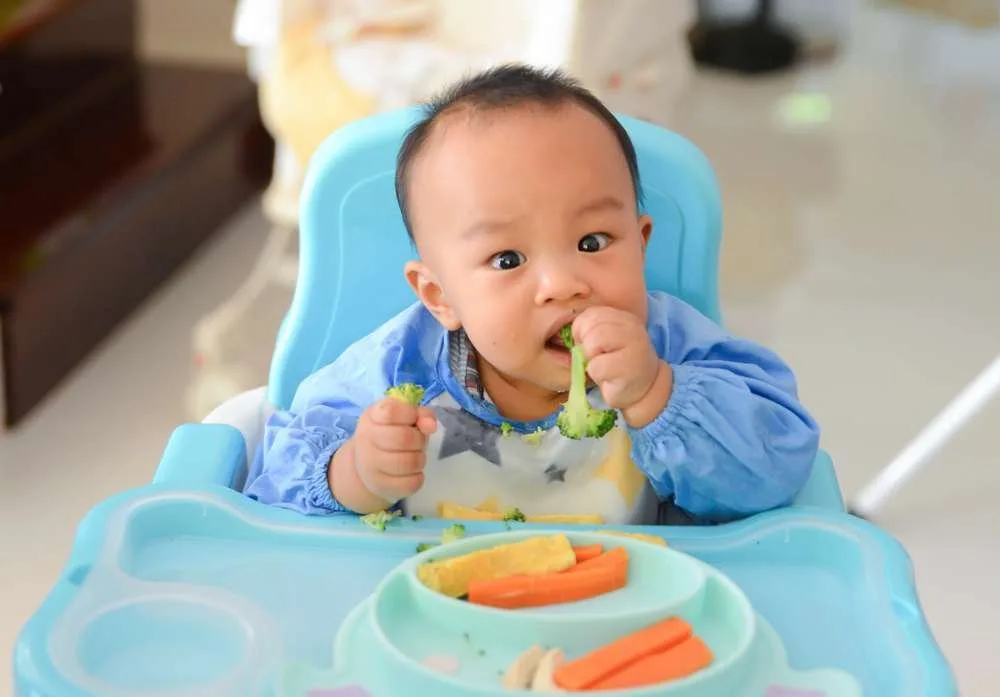 Baby-Led Weaning: The New Parent's Guide to Happy Eaters