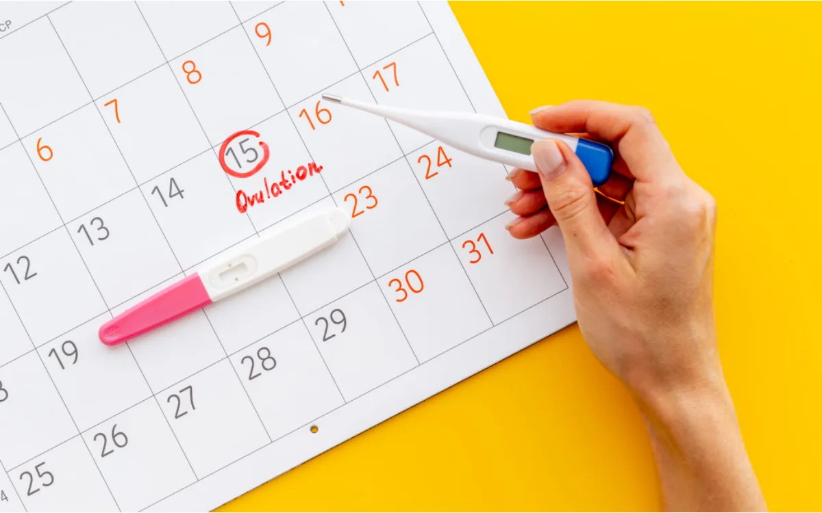 How to Track Your Ovulation for Pregnancy A Guide by Motherhood Center (3)
