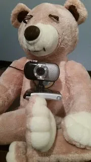 nannycam