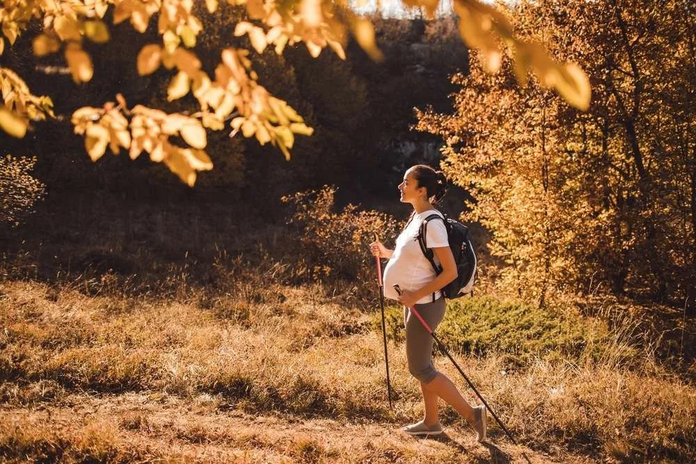 Pregnant woman nordic walking in autumn forest with backpack and